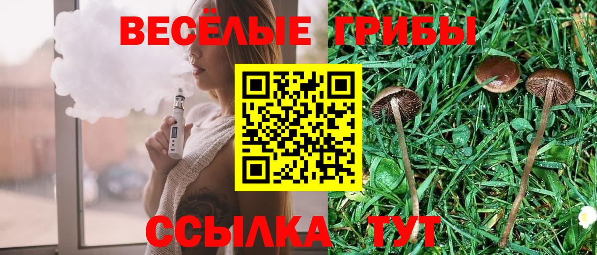 Нефтекамск  Псилоцибиновые грибы Psilocybe  Вход с VPN 