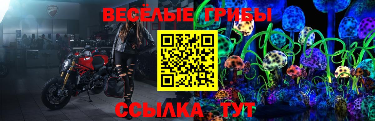 Галлюциногенные грибы мицелий Нефтекамск